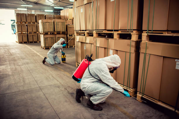 Best Emergency Pest Control  in Blue Mound, TX